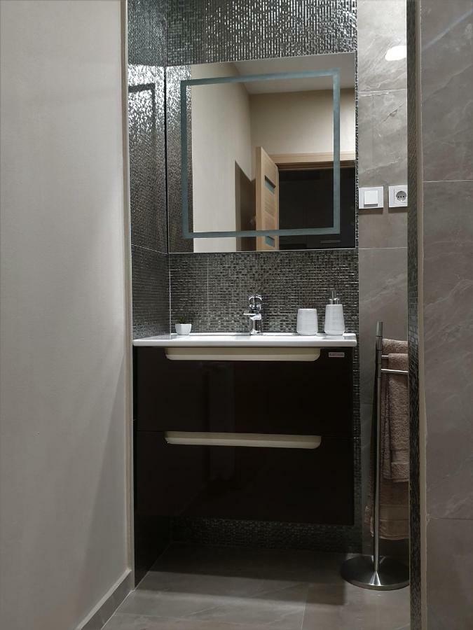טימישוארה Irina Apartments מראה חיצוני תמונה