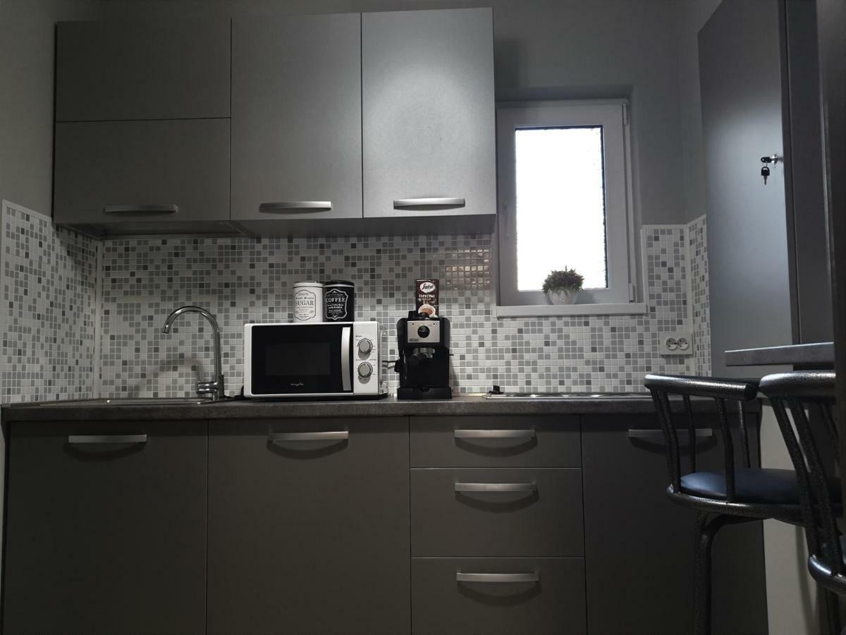 טימישוארה Irina Apartments מראה חיצוני תמונה