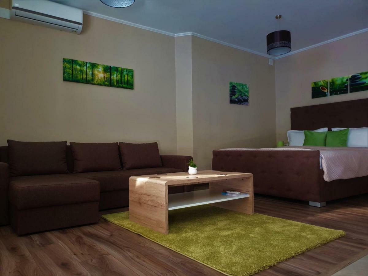 טימישוארה Irina Apartments מראה חיצוני תמונה